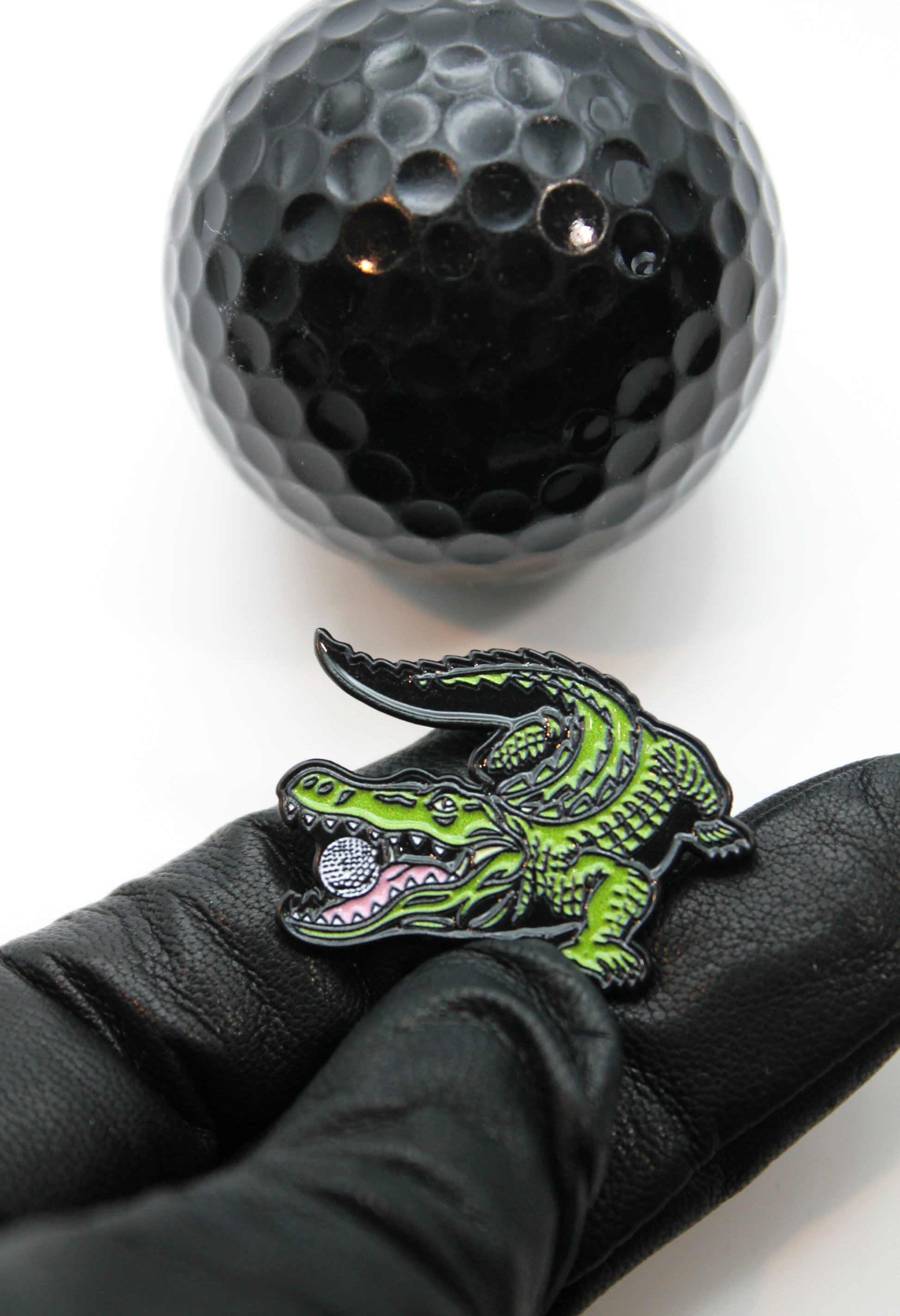 Alligator