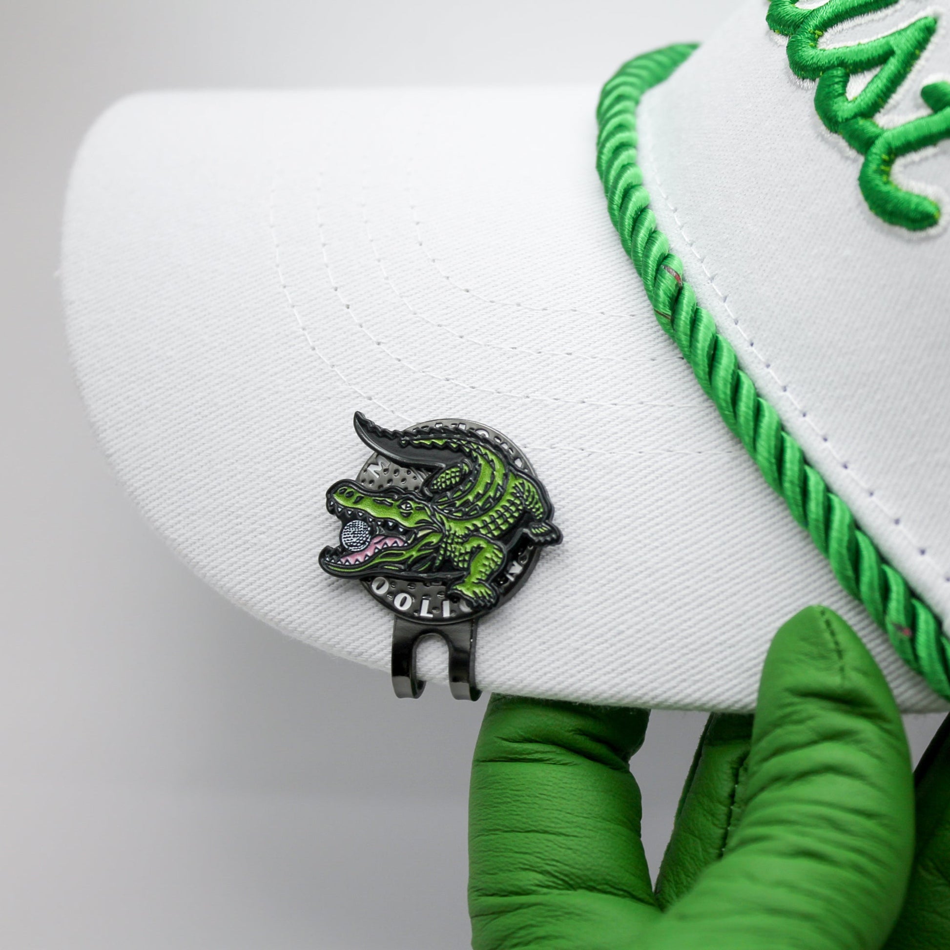Alligator