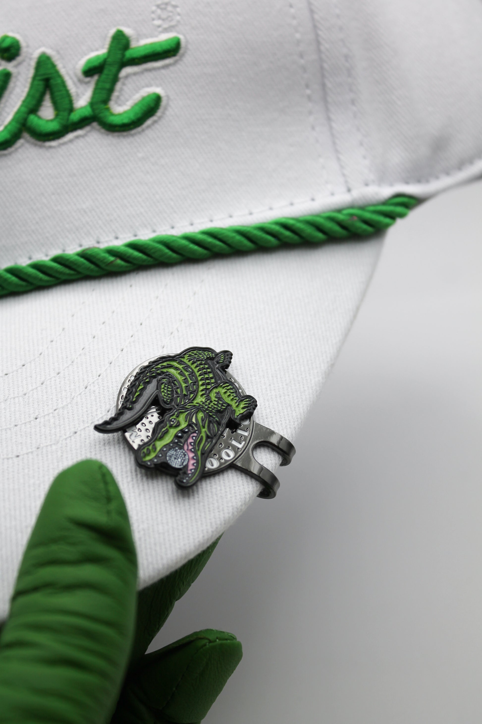 Alligator