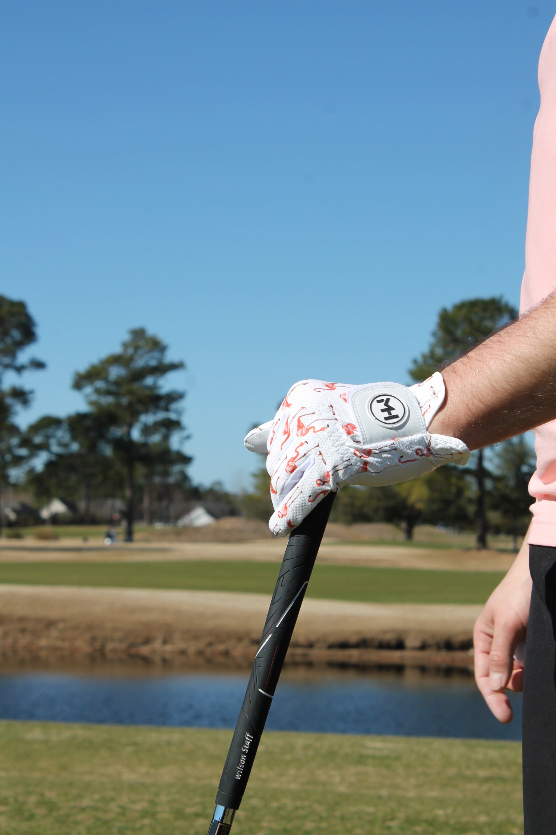Flamingo Putt