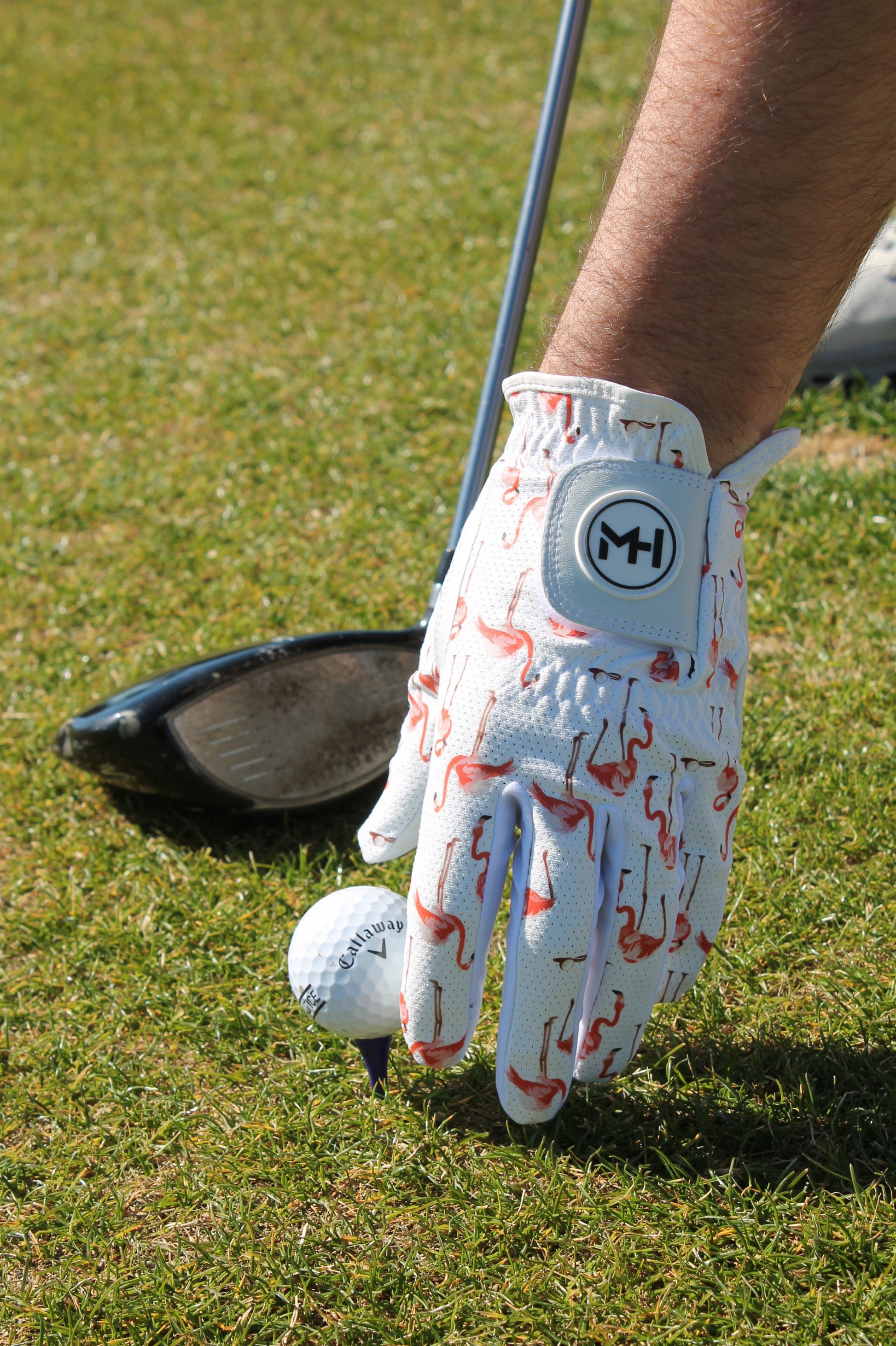Flamingo Putt