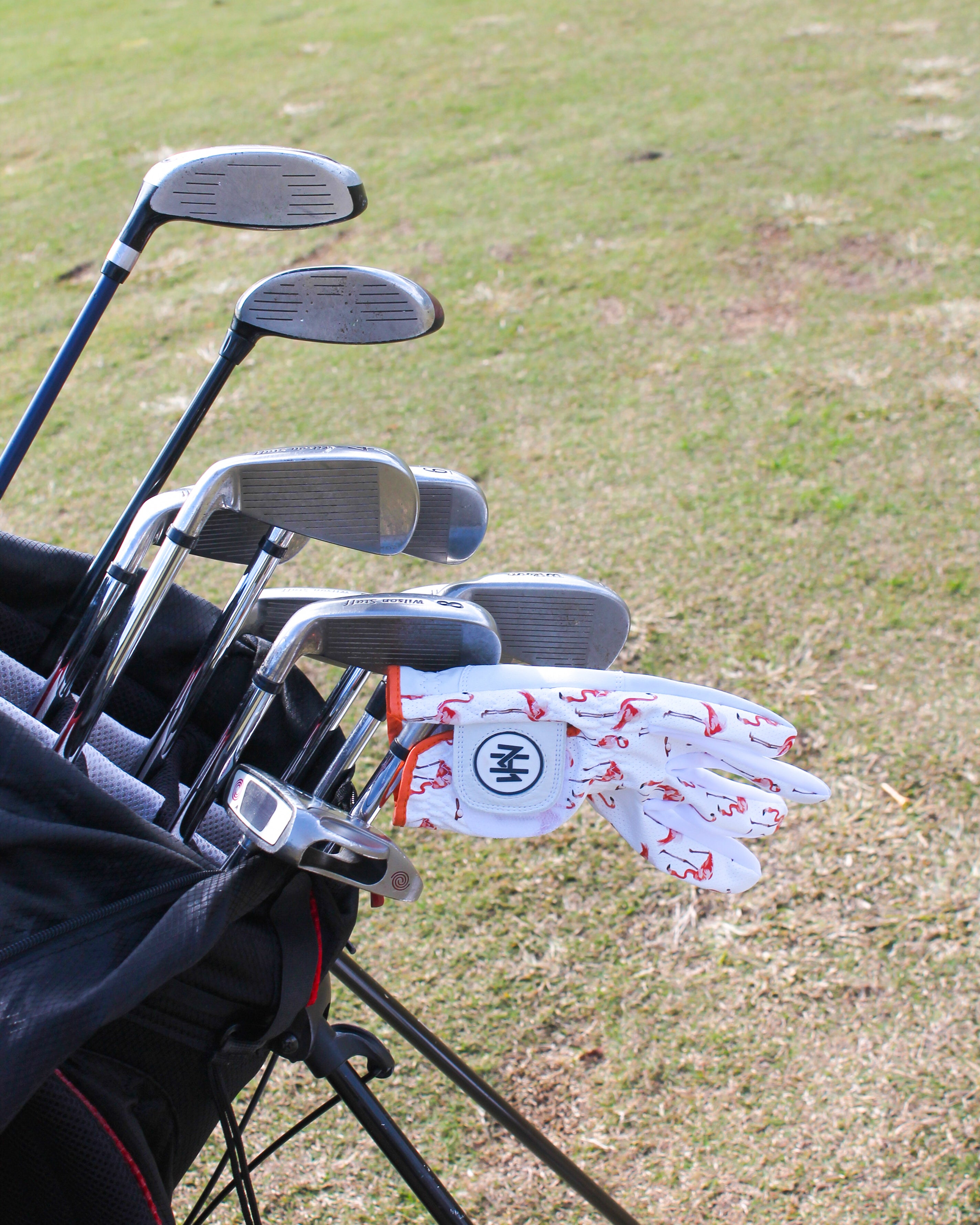 Golf clubs in a bag with Flamingo glove on a grassy background
