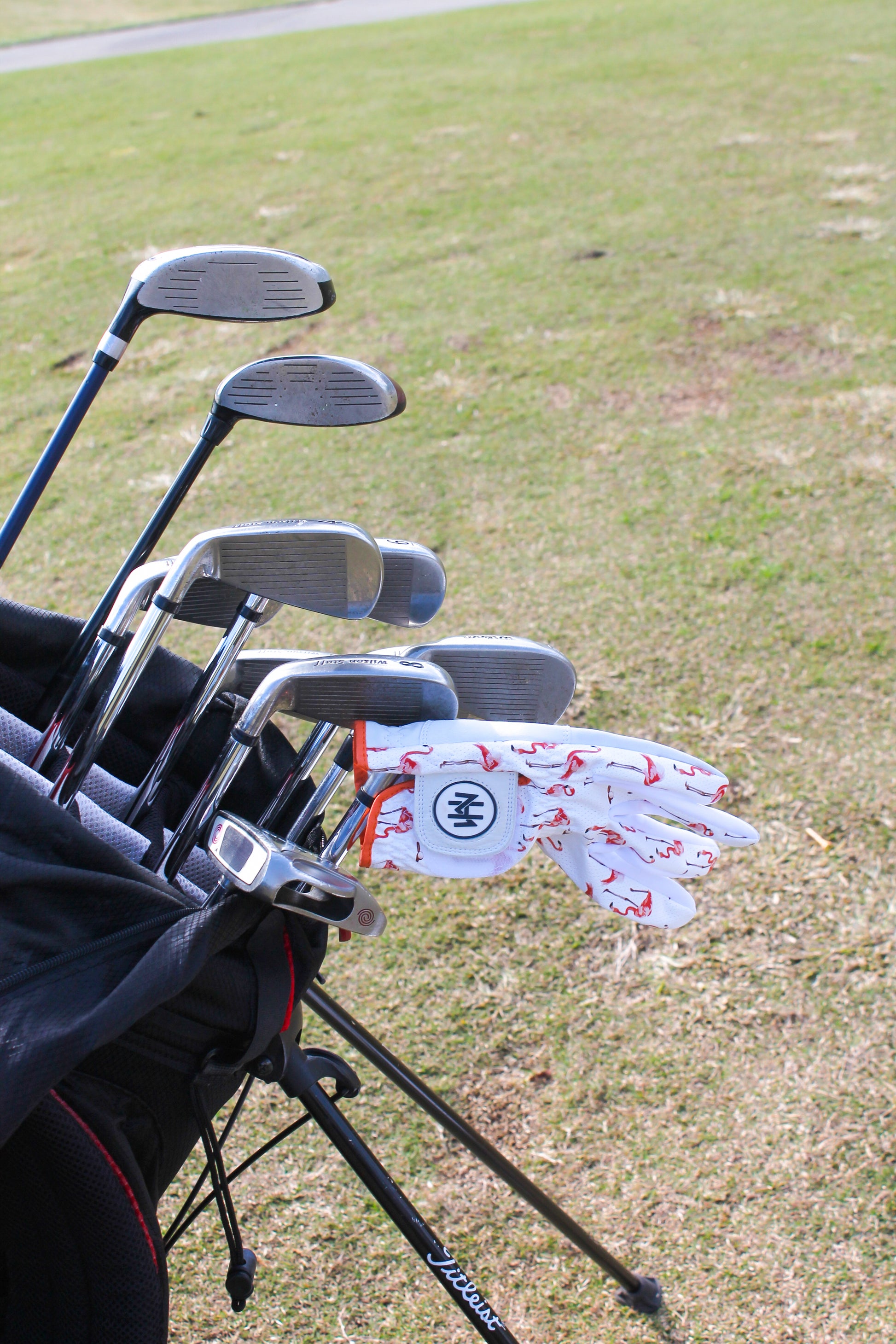 Golf clubs in a bag with Flamingo glove on a grassy background