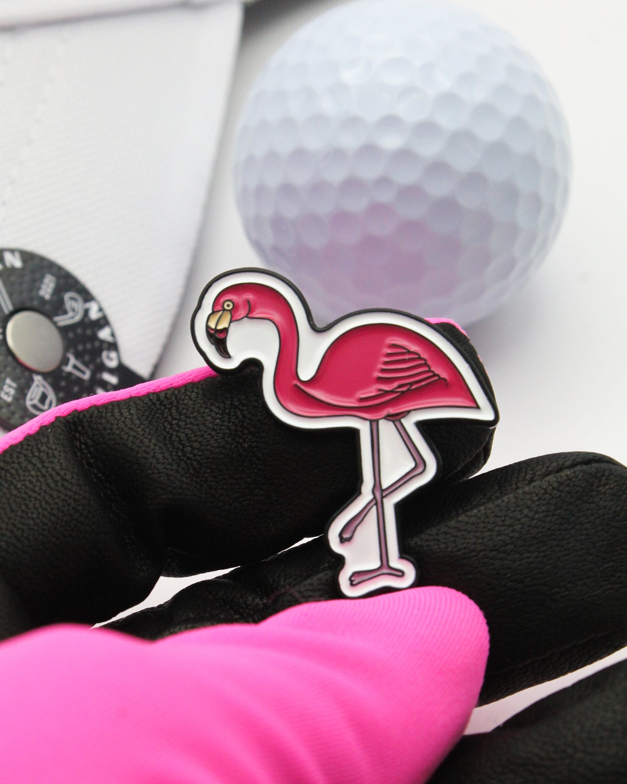 Flamingo