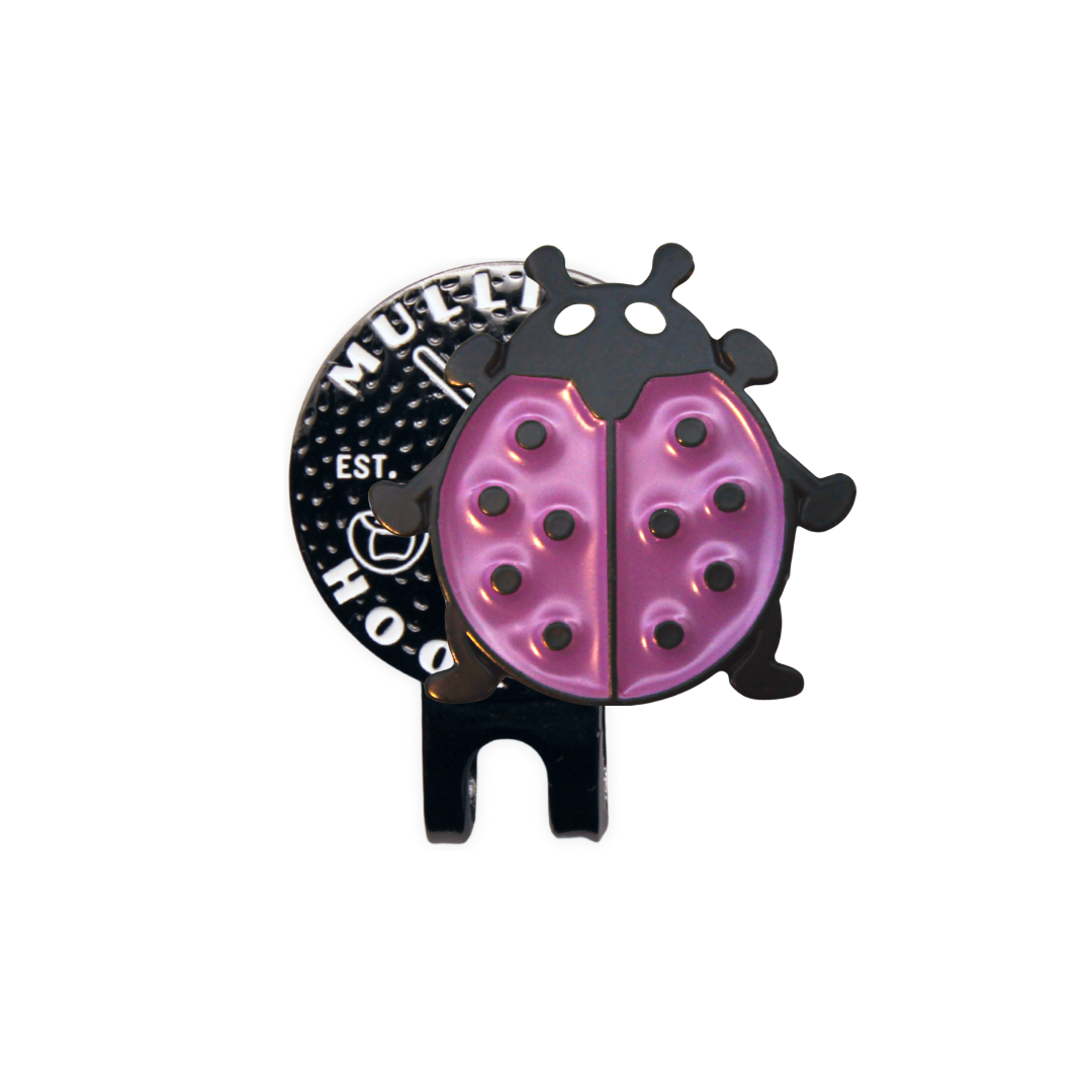 Ladybug