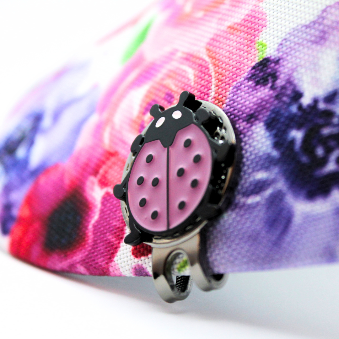 Ladybug