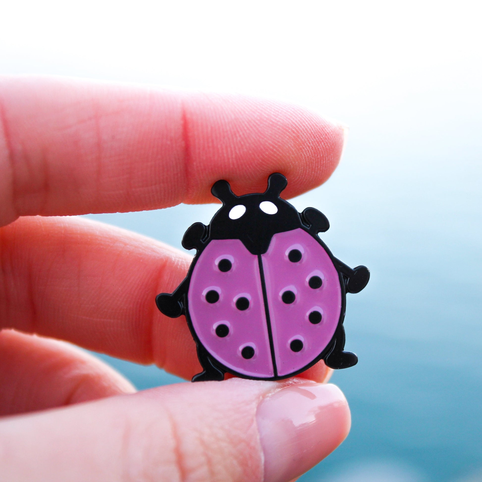 Ladybug