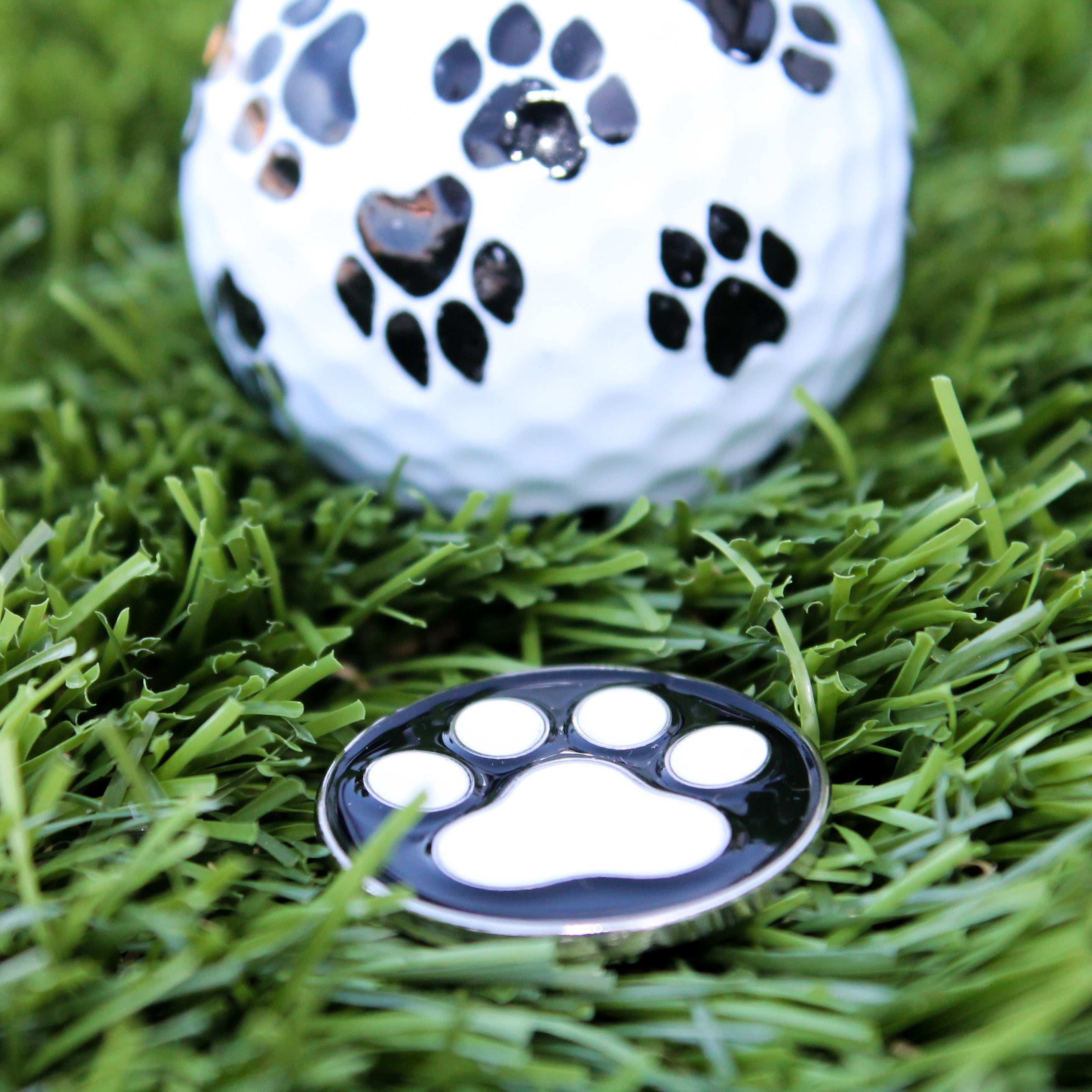 Paw