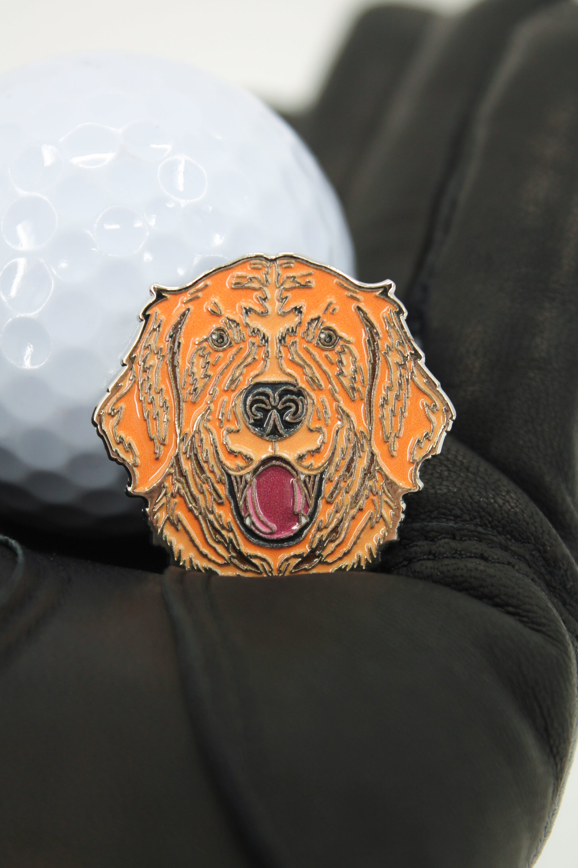 Retriever Dog