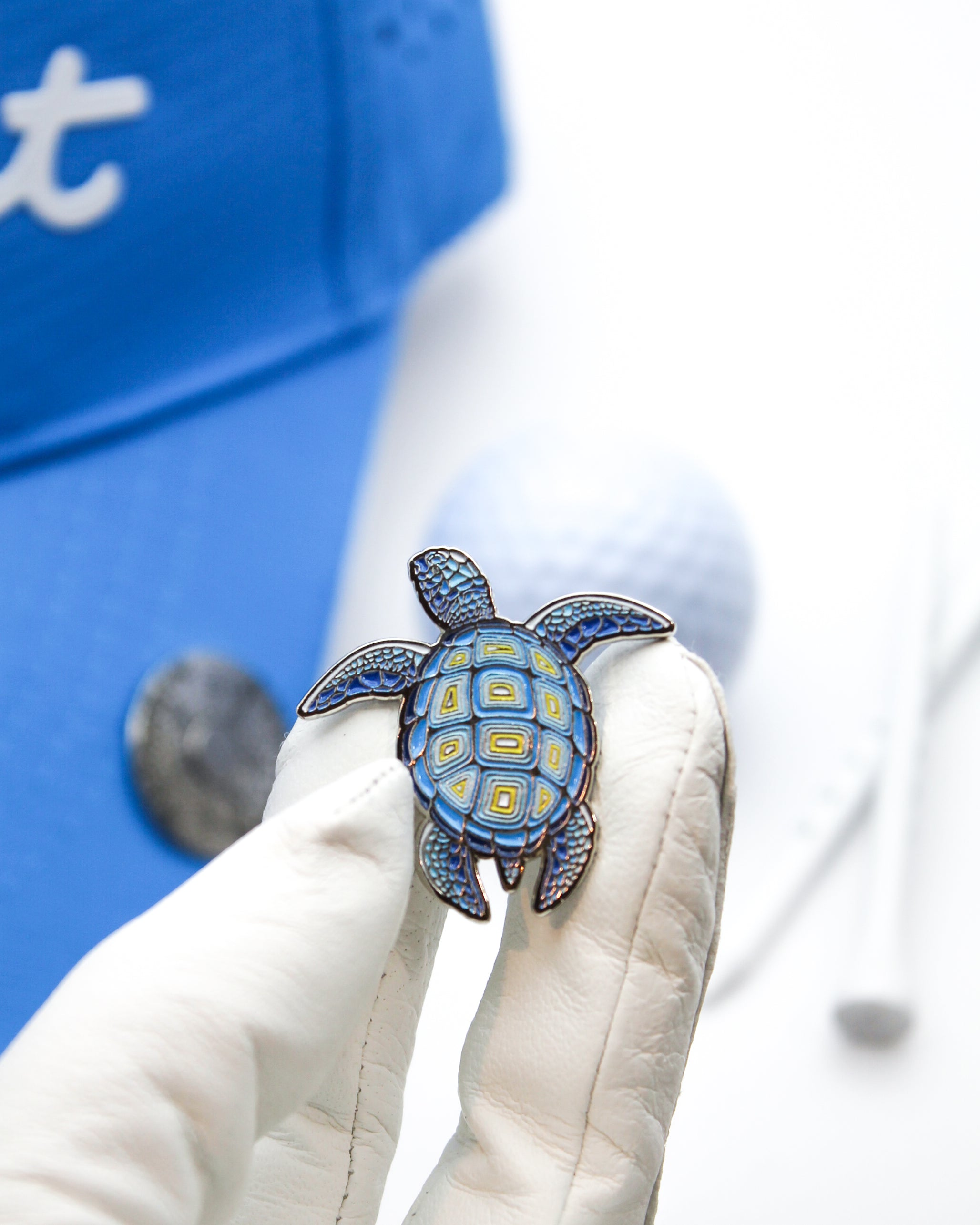 Turtle