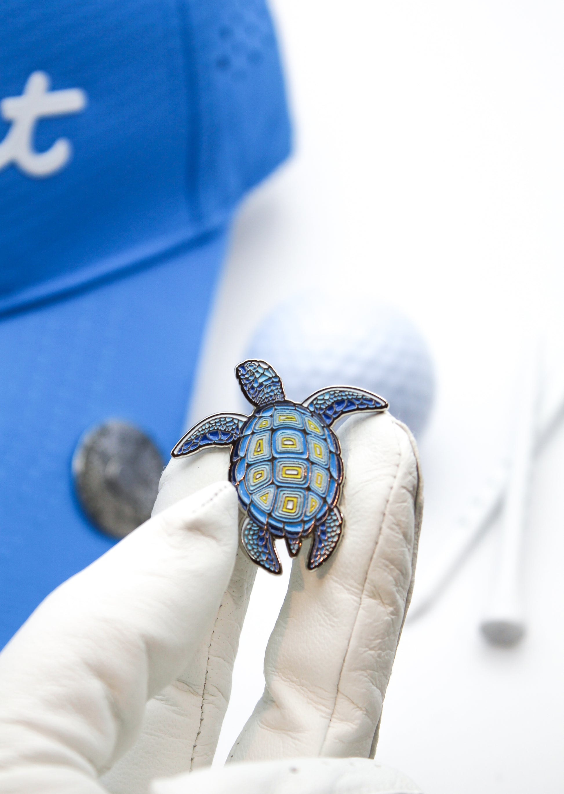 Turtle